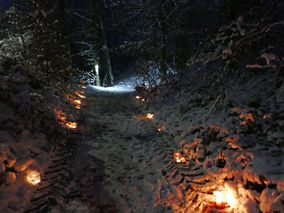 Waldadvent in der Fatima-Grotte (Foto: Karl-Franz Thiede)